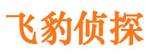 合江市调查取证